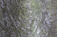 Pumpherston fibreglass roof work